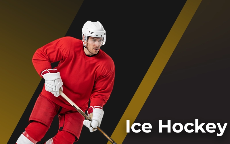 Bet on ice hockey and field hockey matches at Sky247 site.
